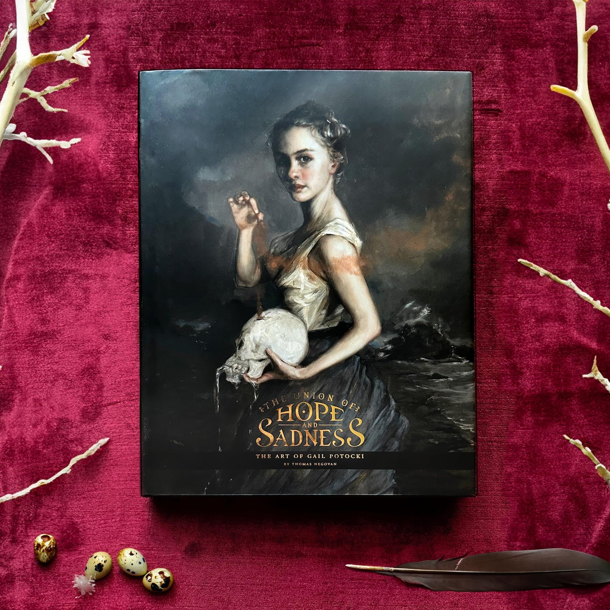 Union Of Hope And Sadness book cover
