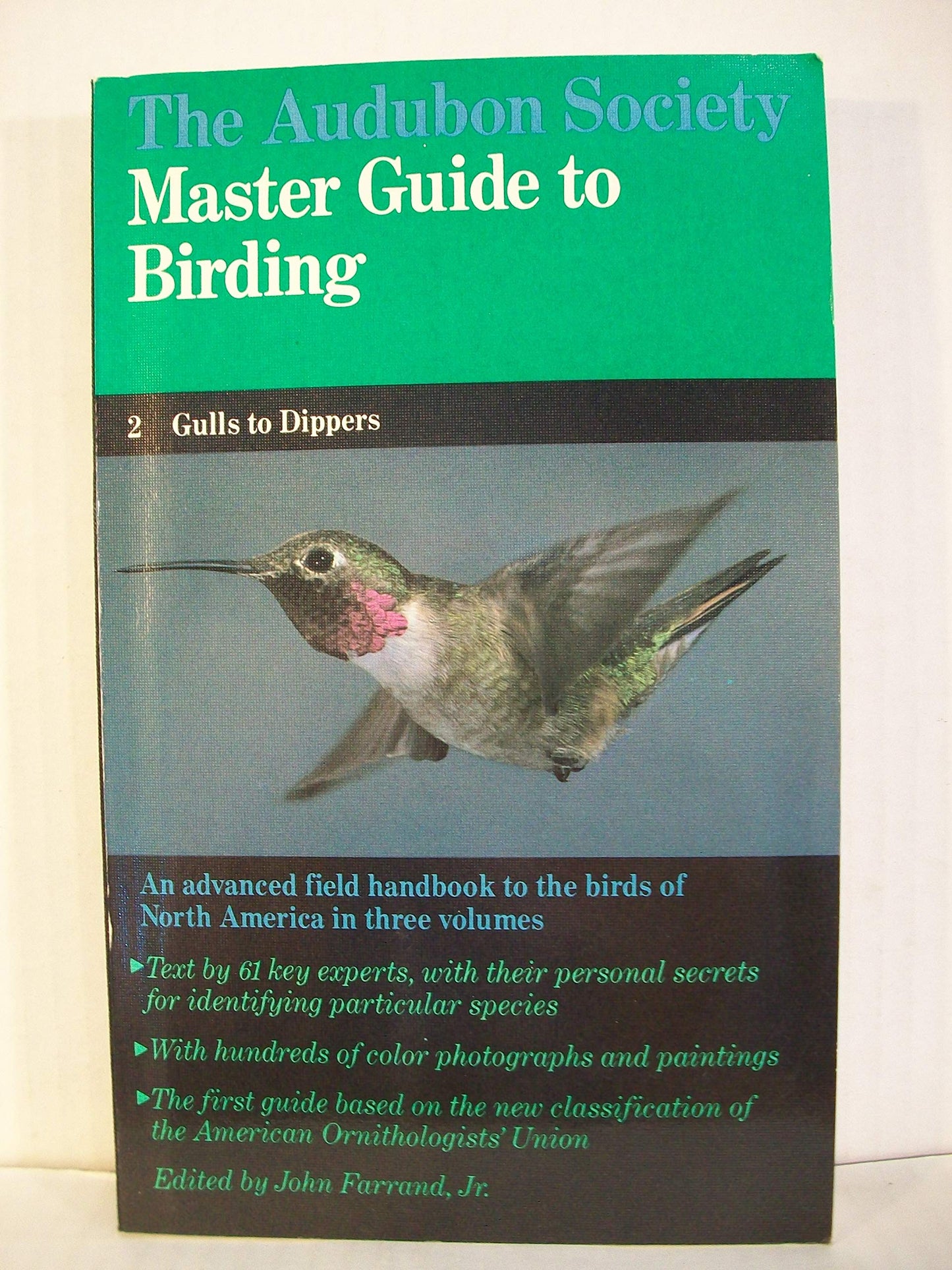 Master Birding: Gulls-Dippers V 2 (Chanticleer Press) book cover