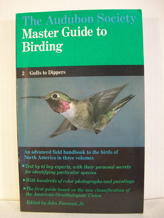 Master Birding: Gulls-Dippers V 2 (Chanticleer Press) book cover