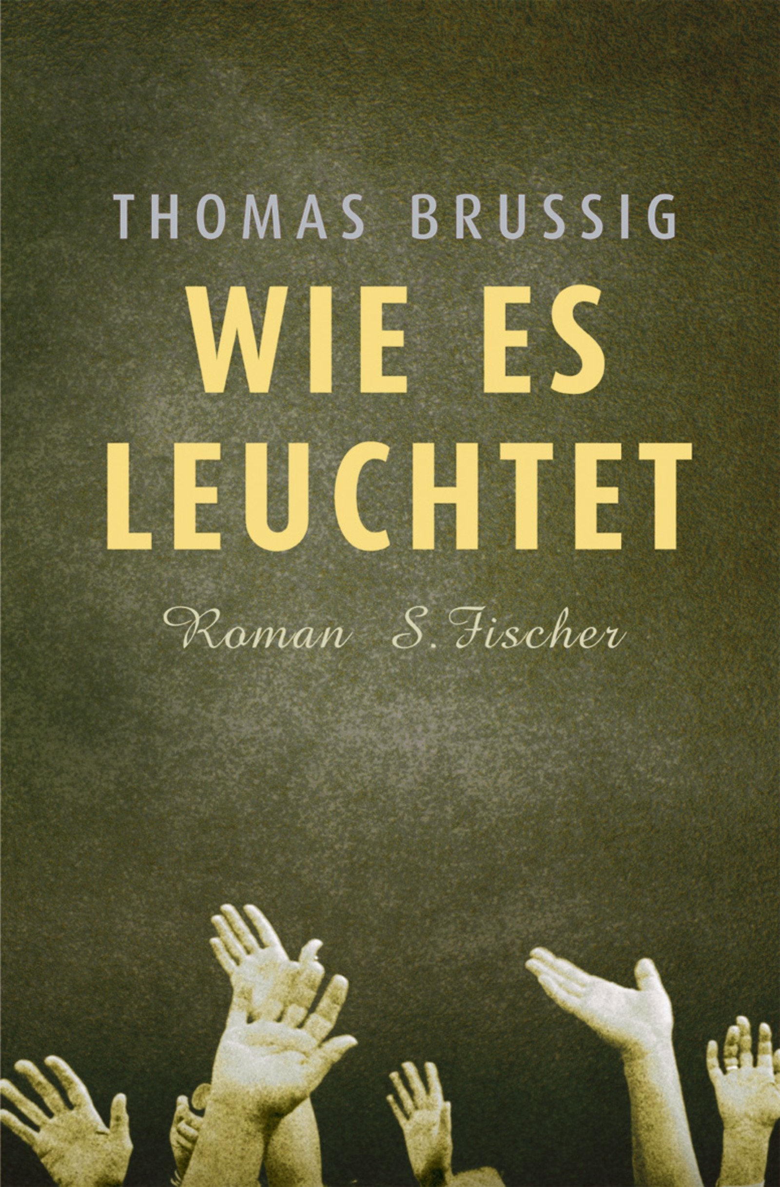 Wie es leuchtet book cover
