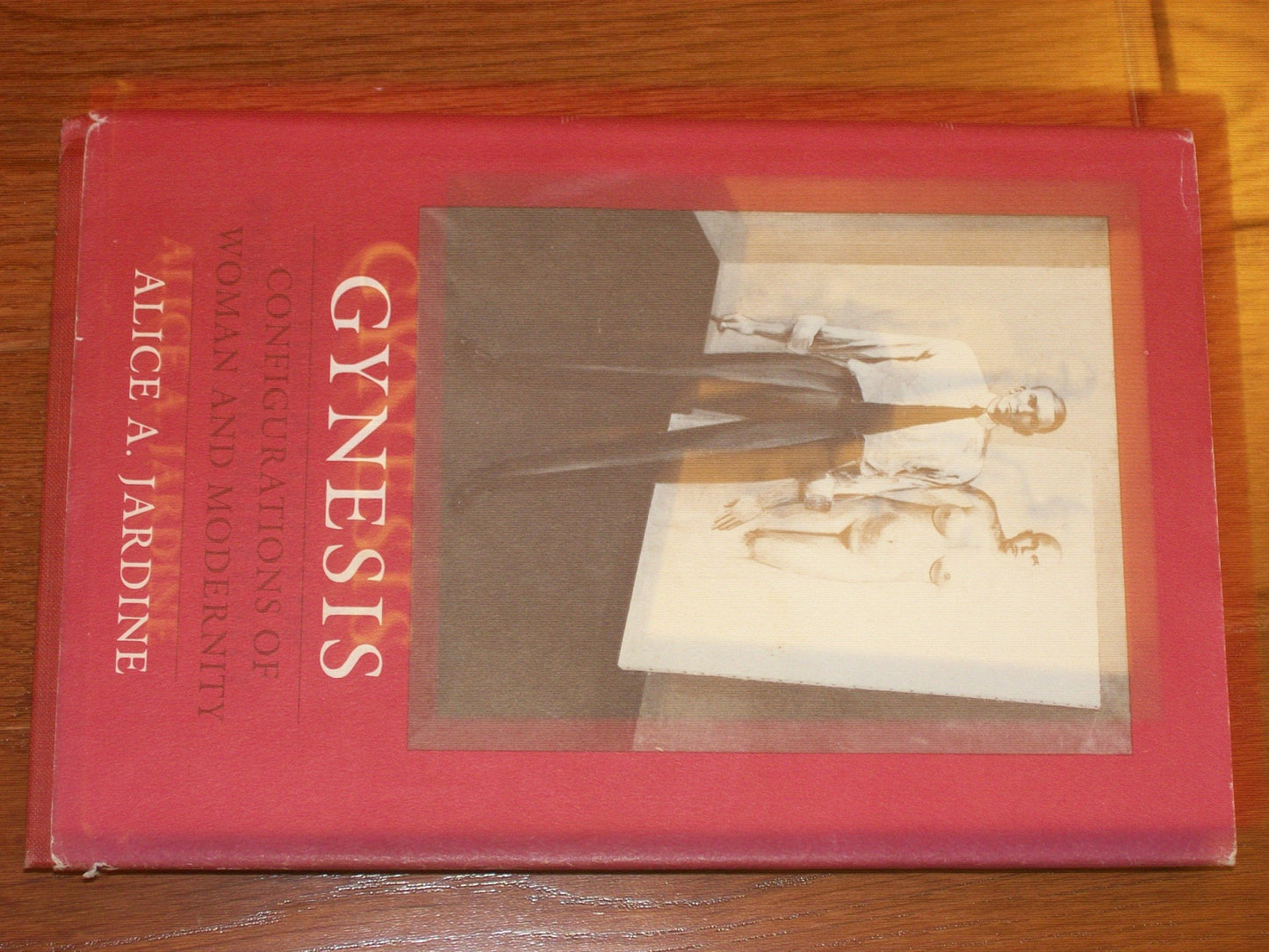 Gynesis book cover