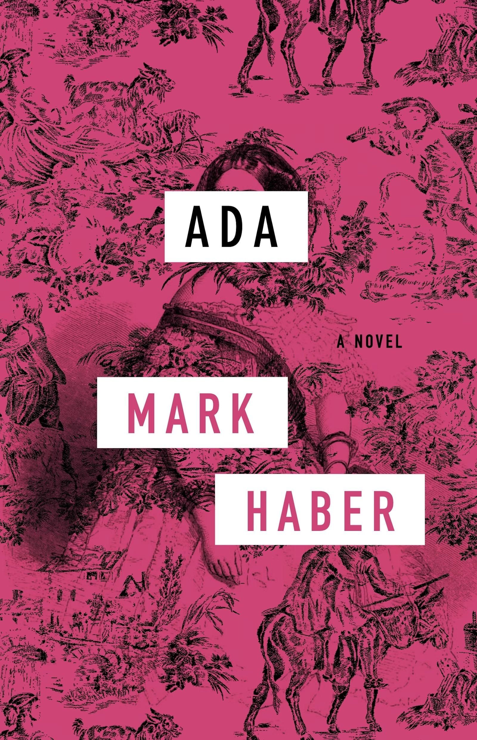 Ada book cover