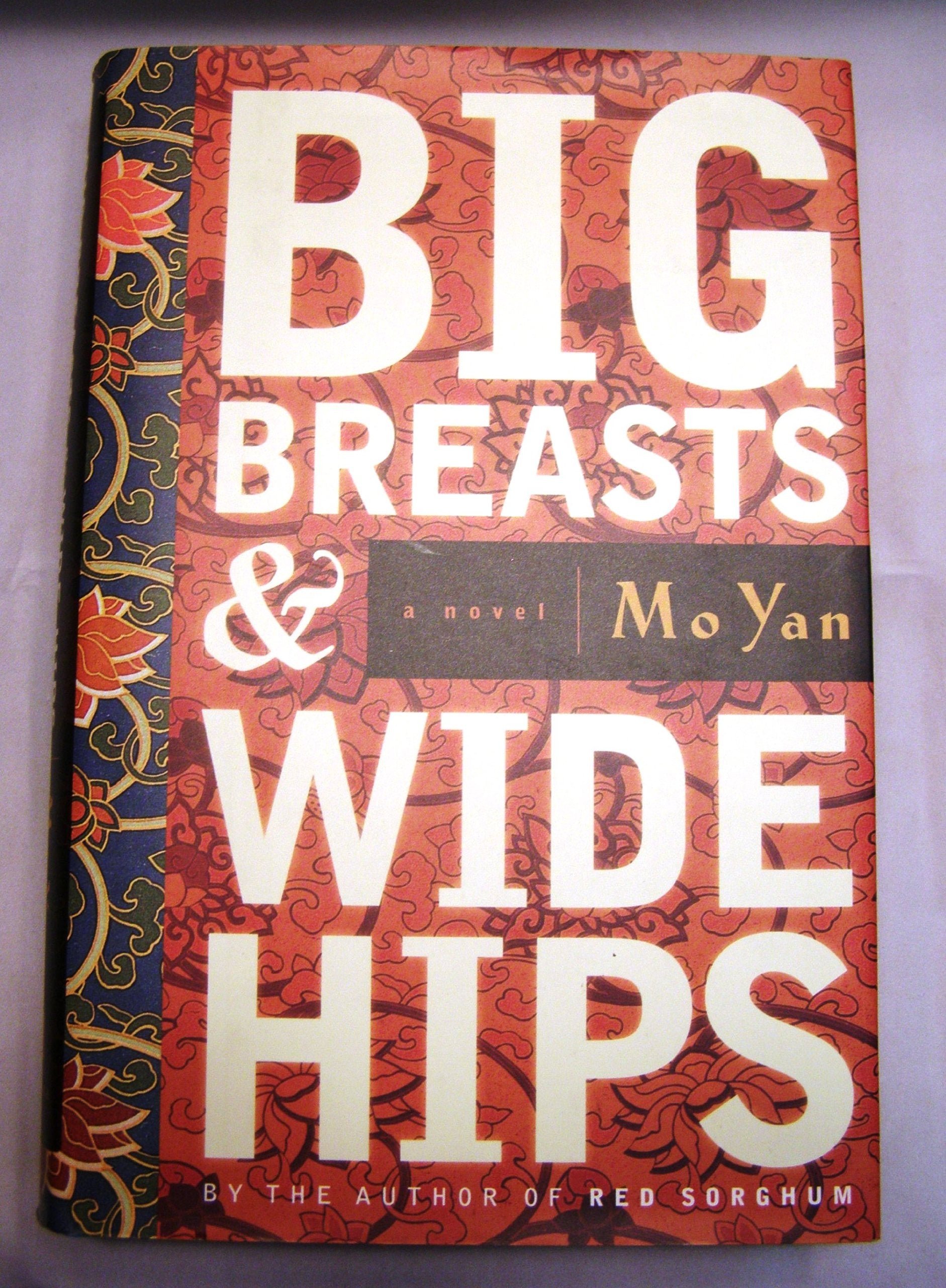 Big Breasts & Wide Hips book cover