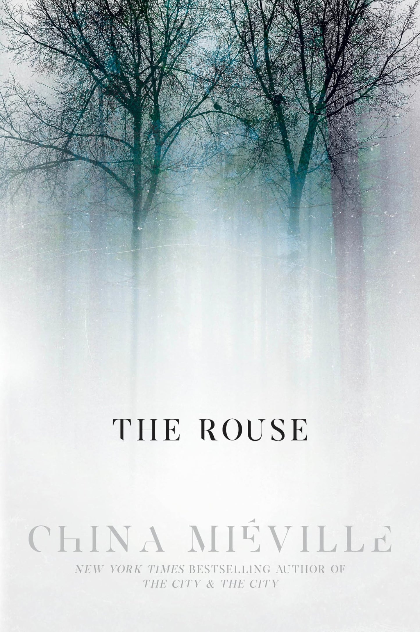 The Rouse book cover