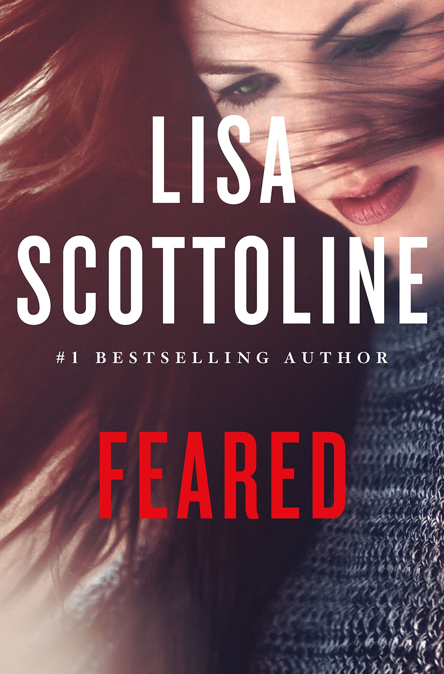 Feared: A Rosato & Dinunzio Novel book cover