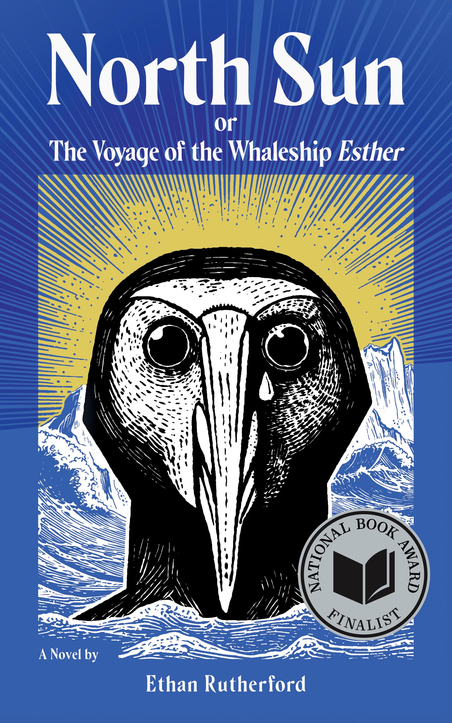 North Sun book cover