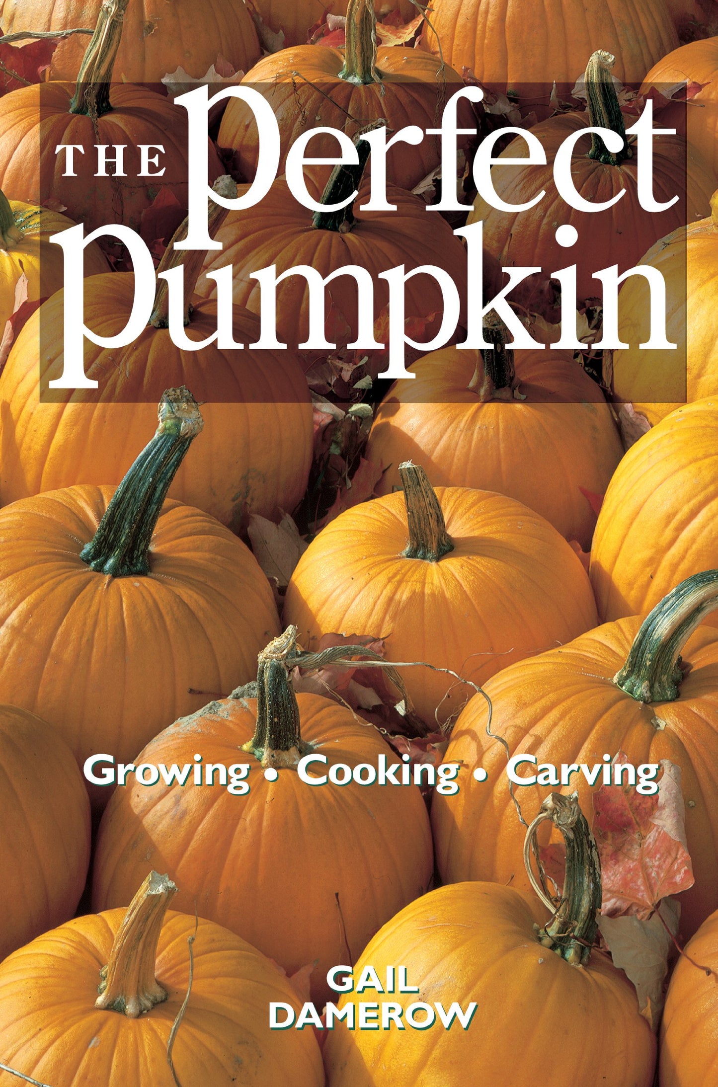 Perfect Pumpkin: Growing/Cooking/Carving