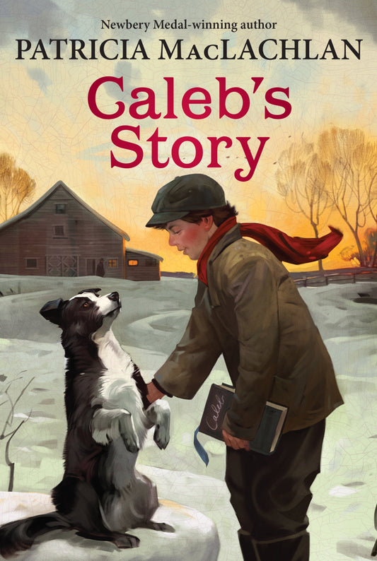 Caleb's Story book cover