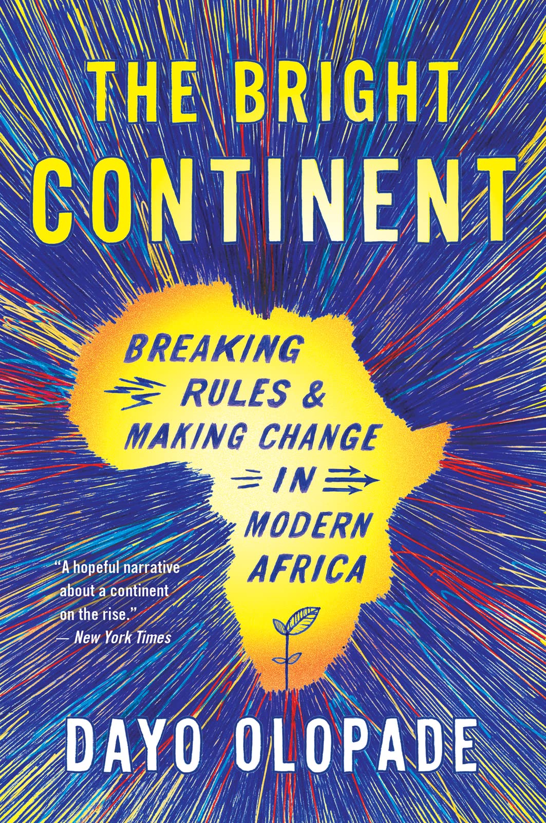 Bright Continent: Breaking Rules and Making Change in Modern Africa book cover