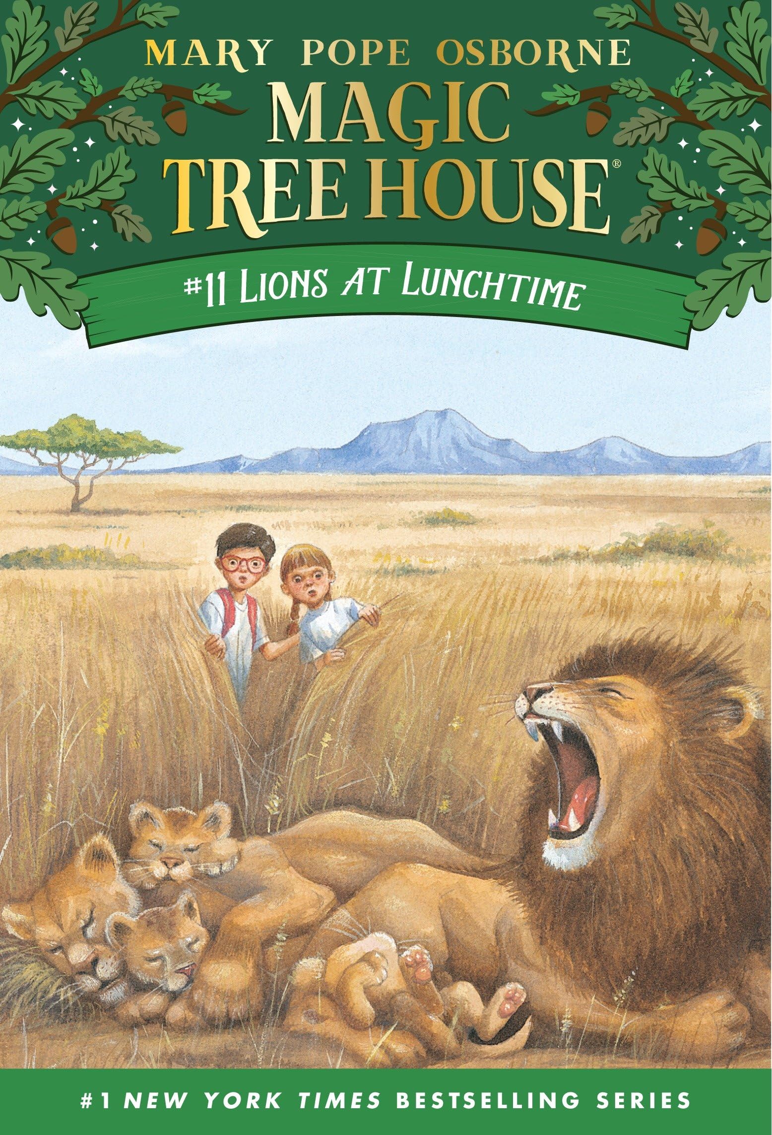 Lions at Lunchtime book cover