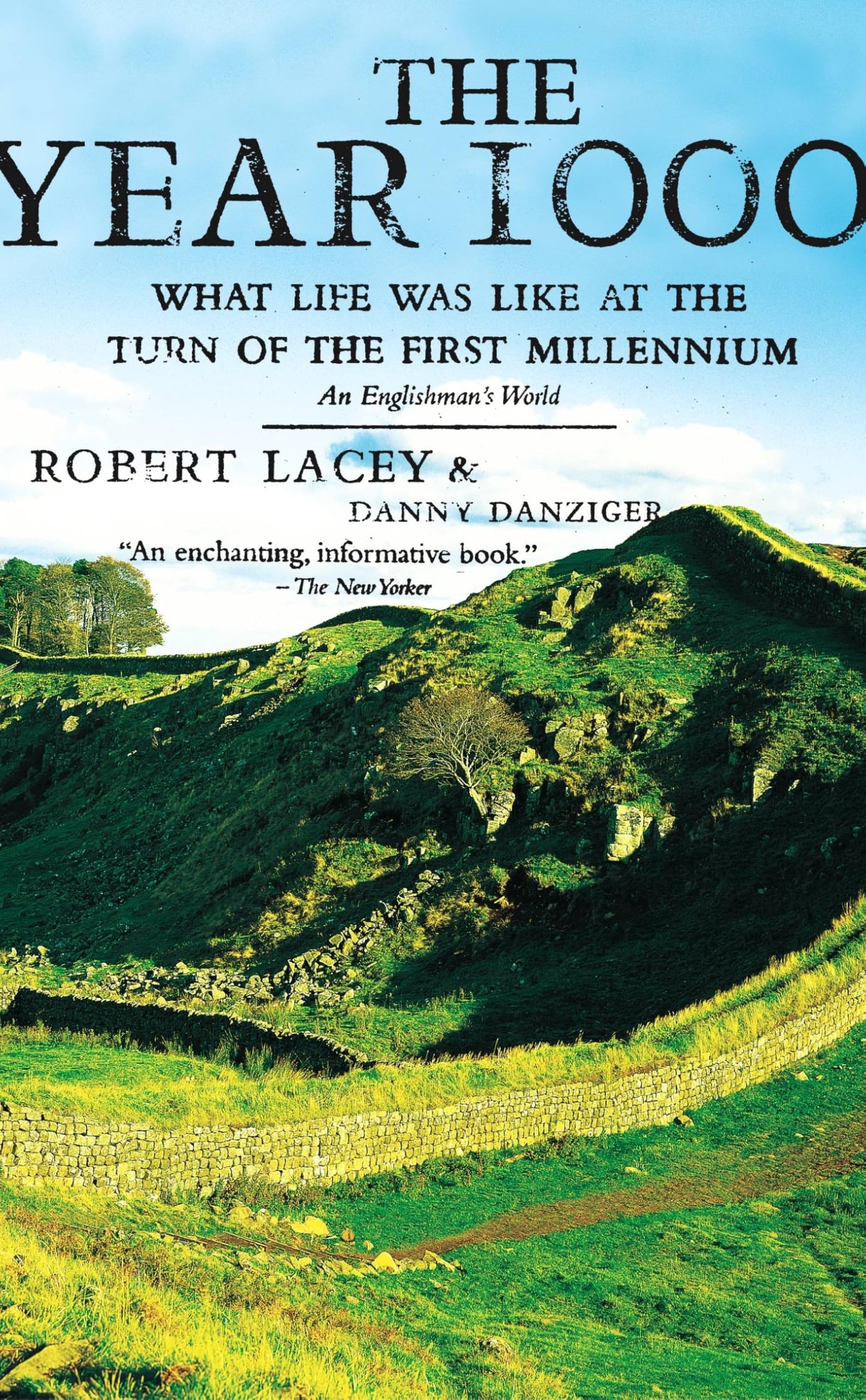 Year 1000: What Life Was Like at the Turn of the First Millennium: An Englishman's World book cover