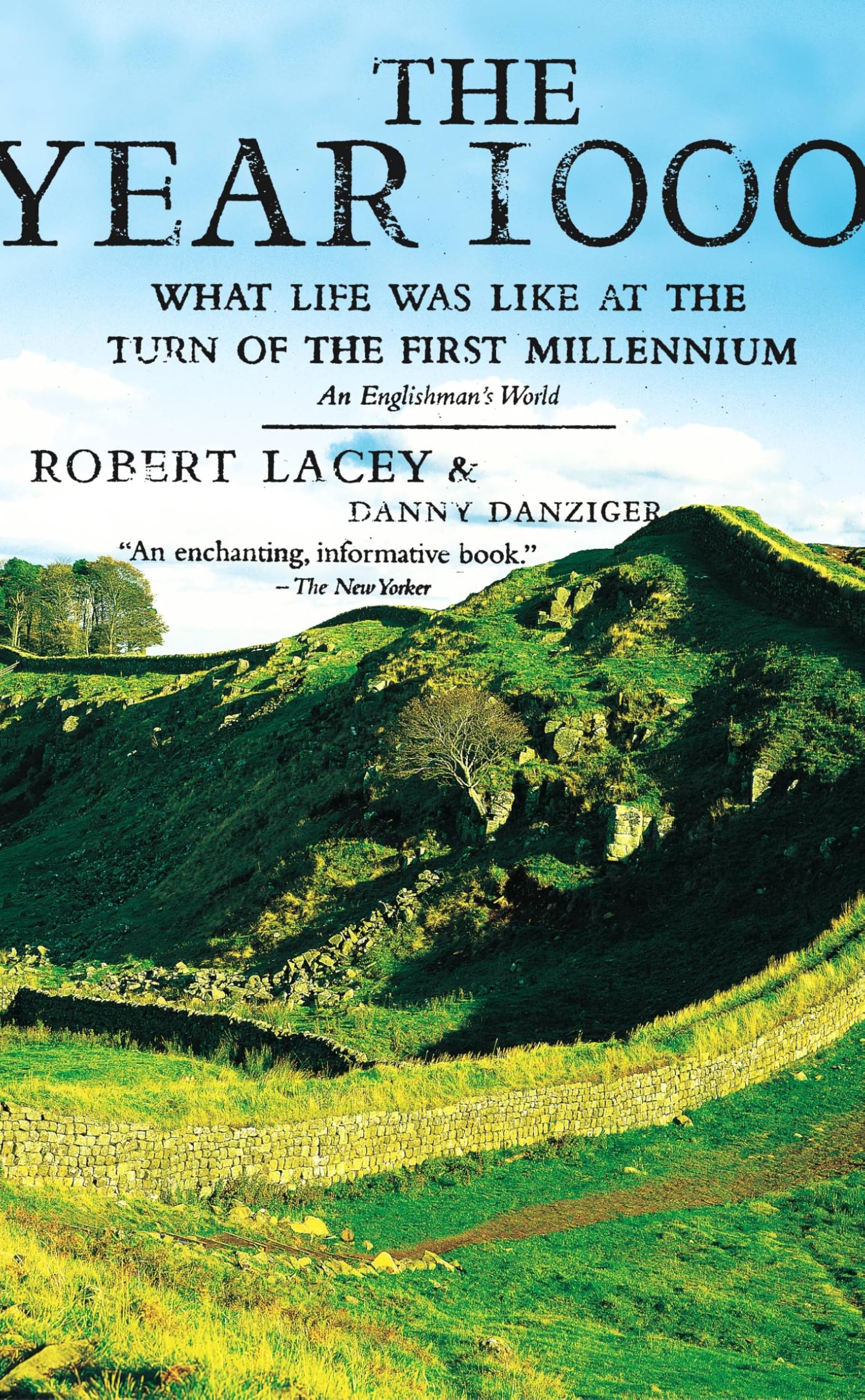 Year 1000: What Life Was Like at the Turn of the First Millennium: An Englishman's World book cover