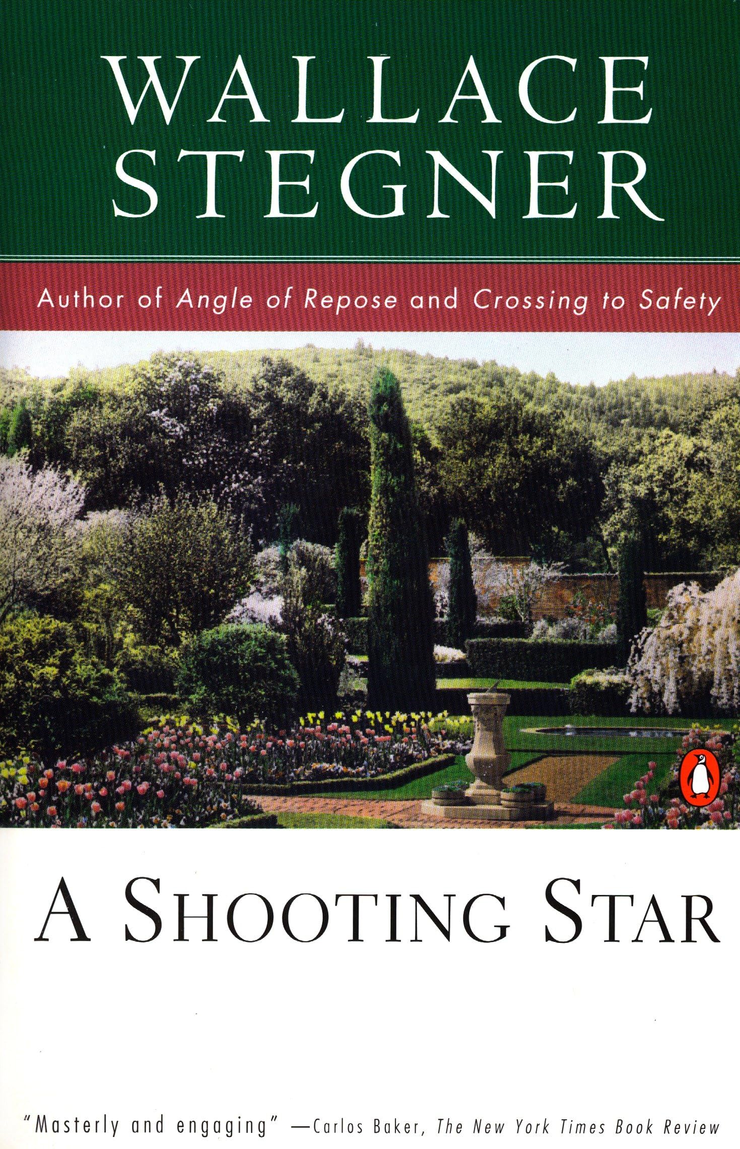 Shooting Star book cover