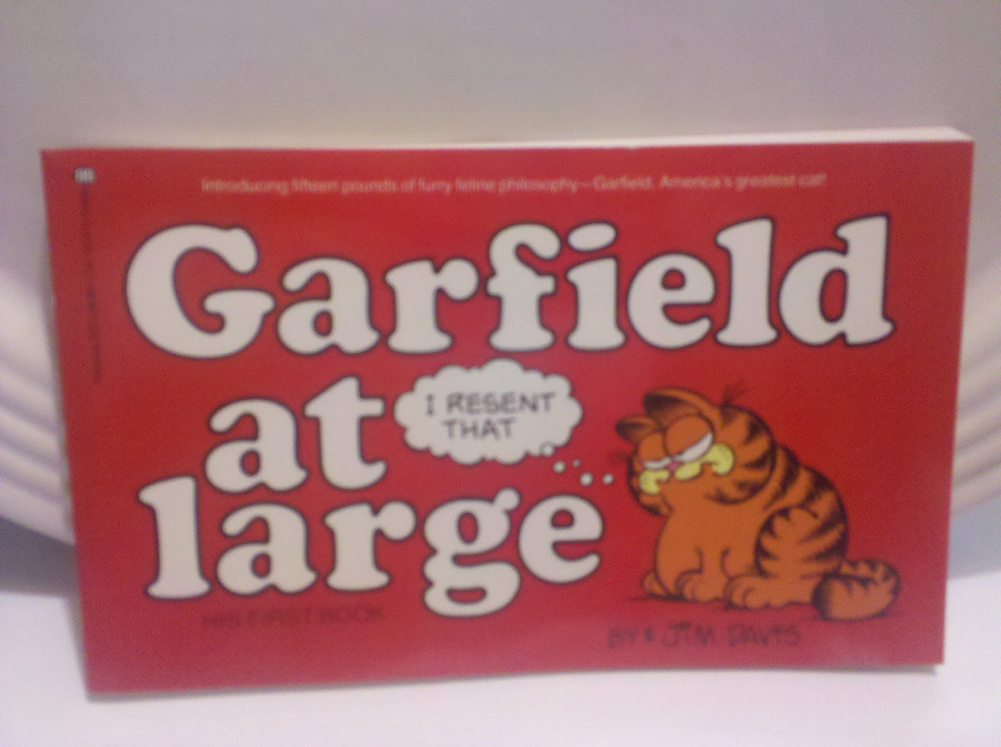 Garfield at Large book cover