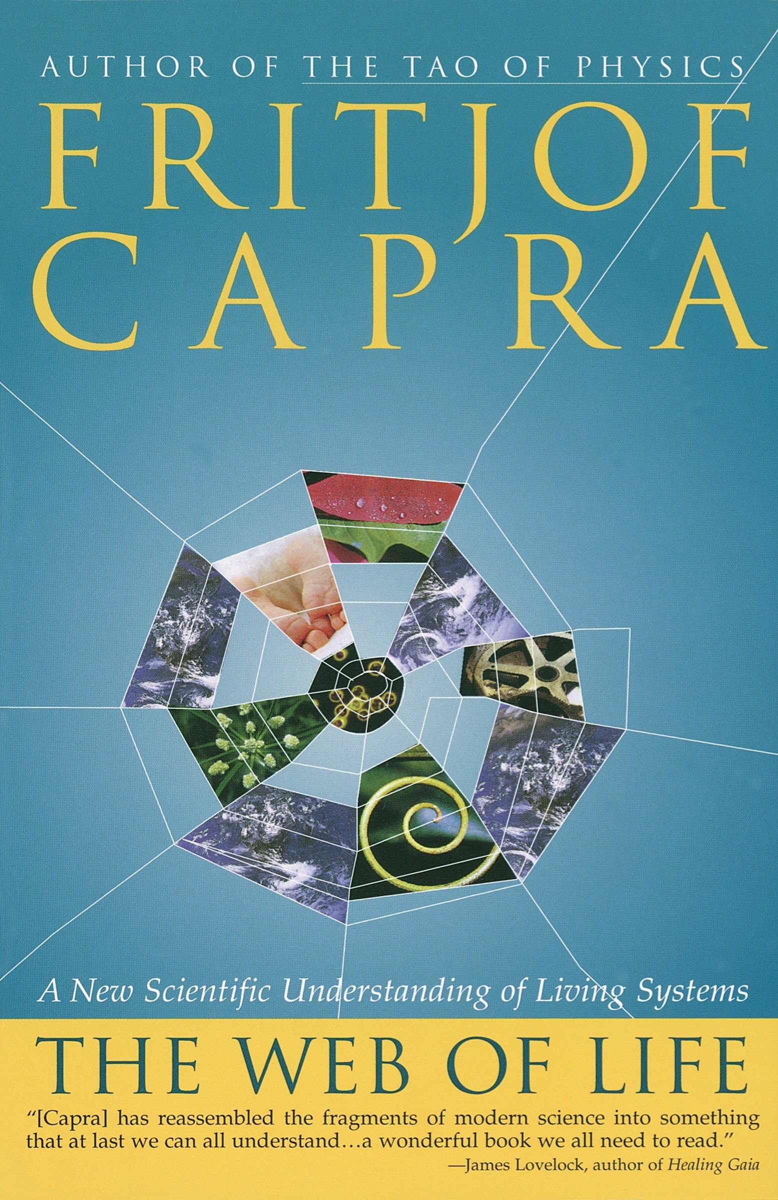 Web of Life: A New Scientific Understanding of Living Systems book cover