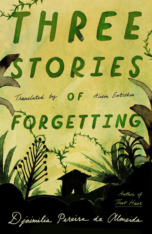 Three Stories of Forgetting book cover