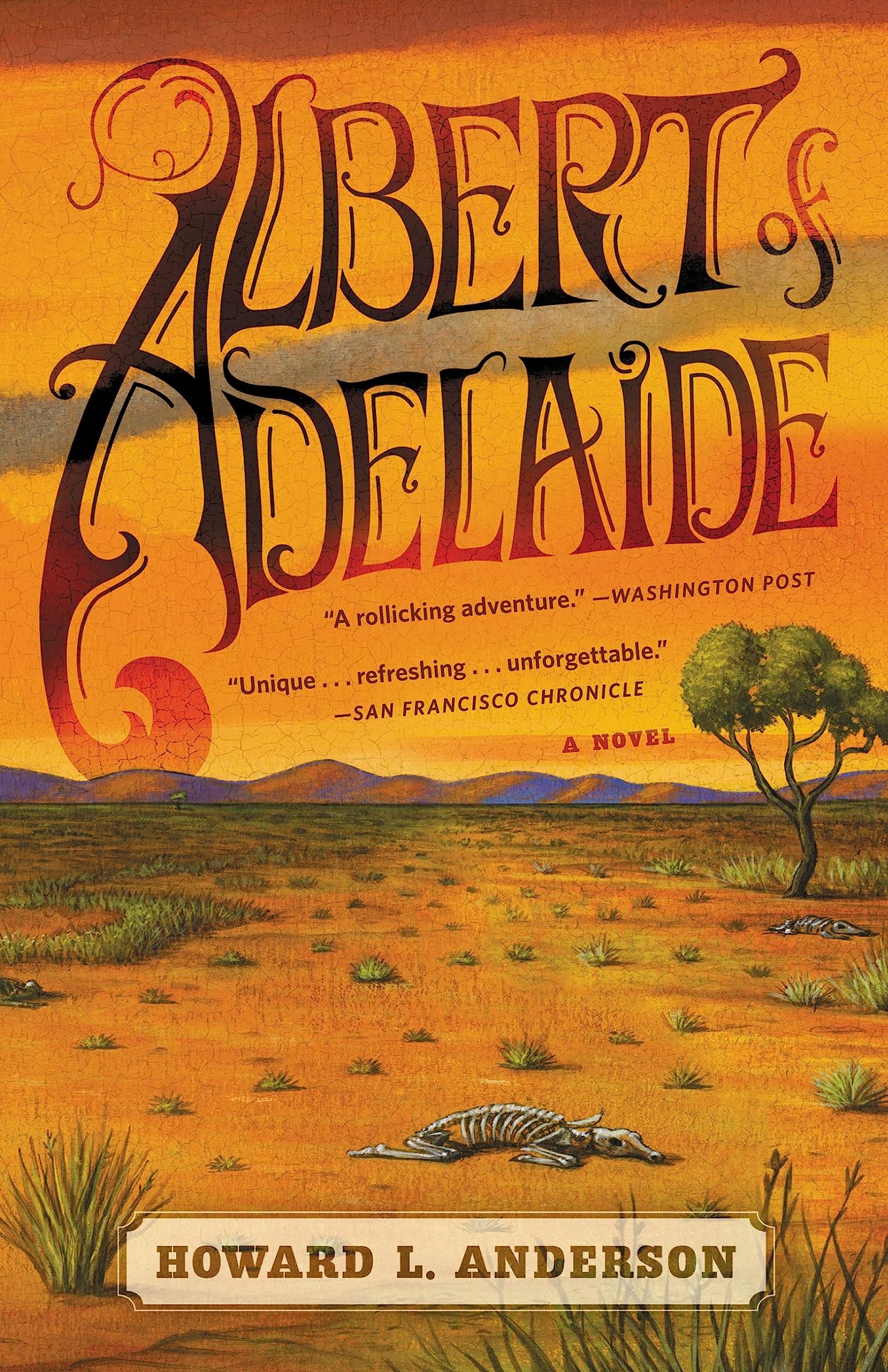 Albert of Adelaide book cover