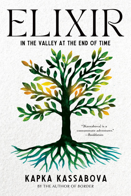 Elixir: In the Valley at the End of Time book cover