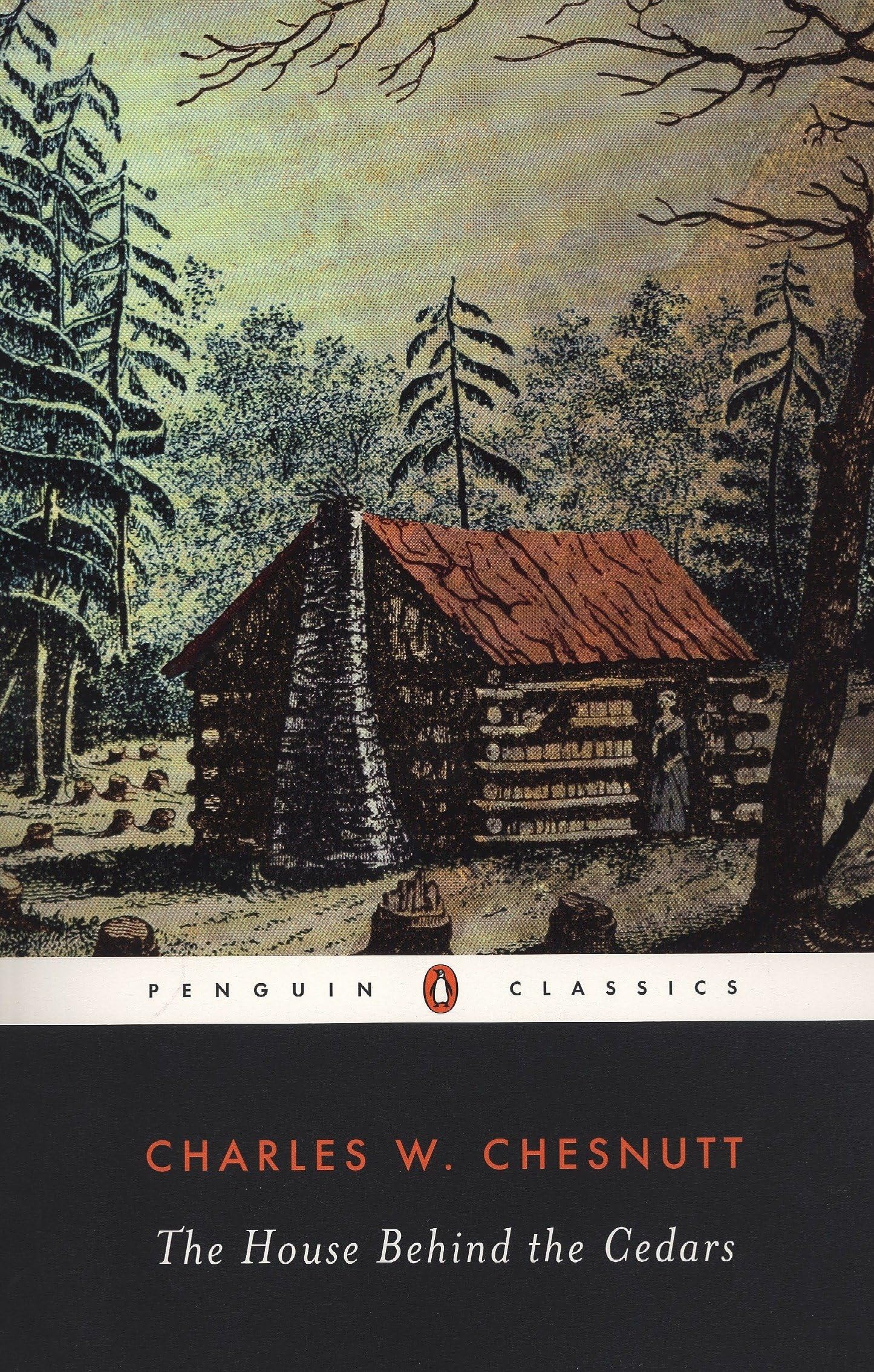 House Behind the Cedars book cover