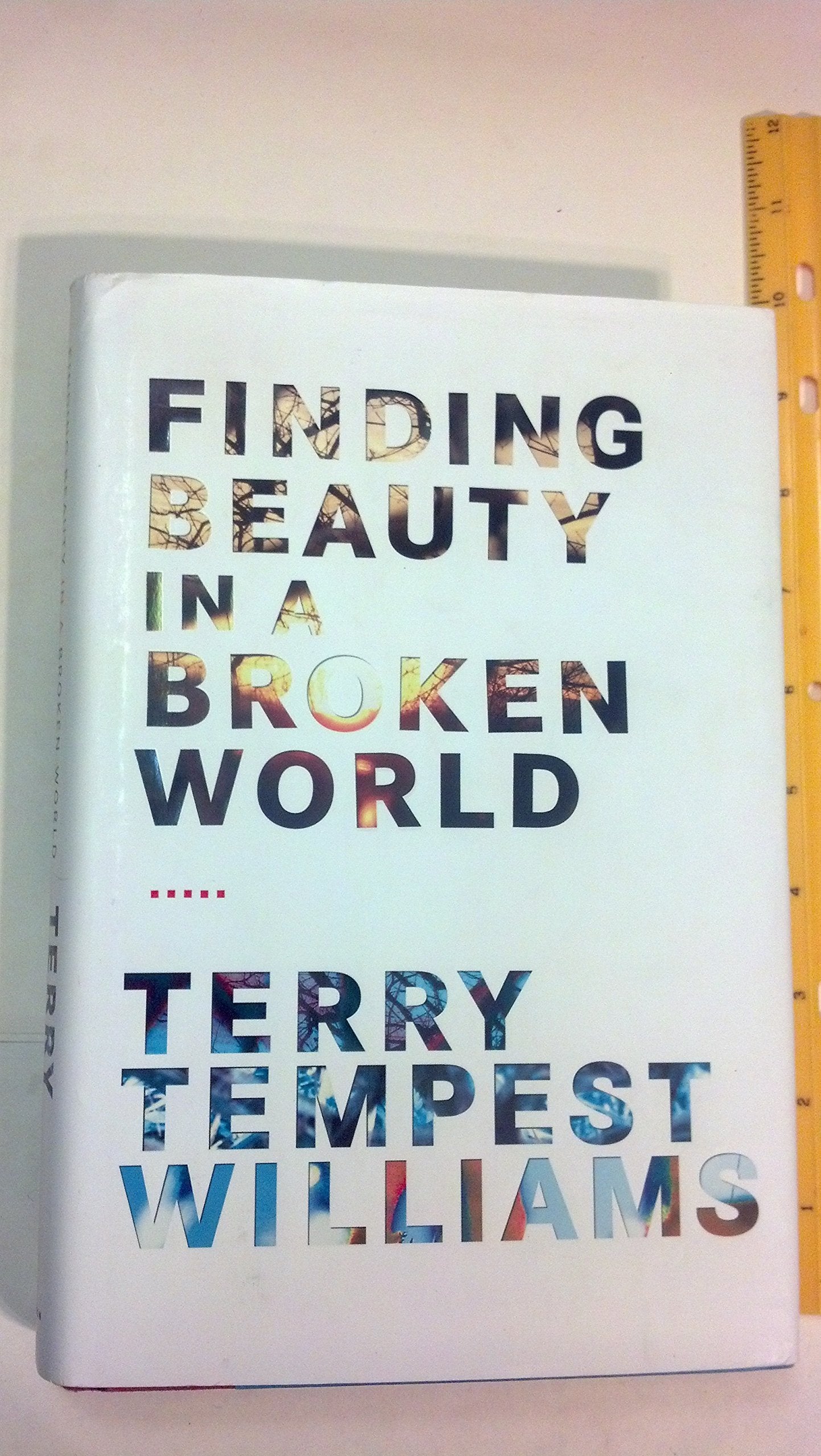Finding Beauty in a Broken World book cover