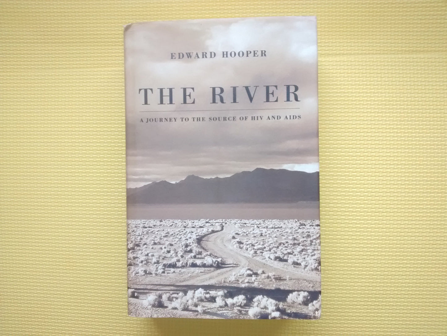 River: A Journey to the Source of HIV and AIDS book cover