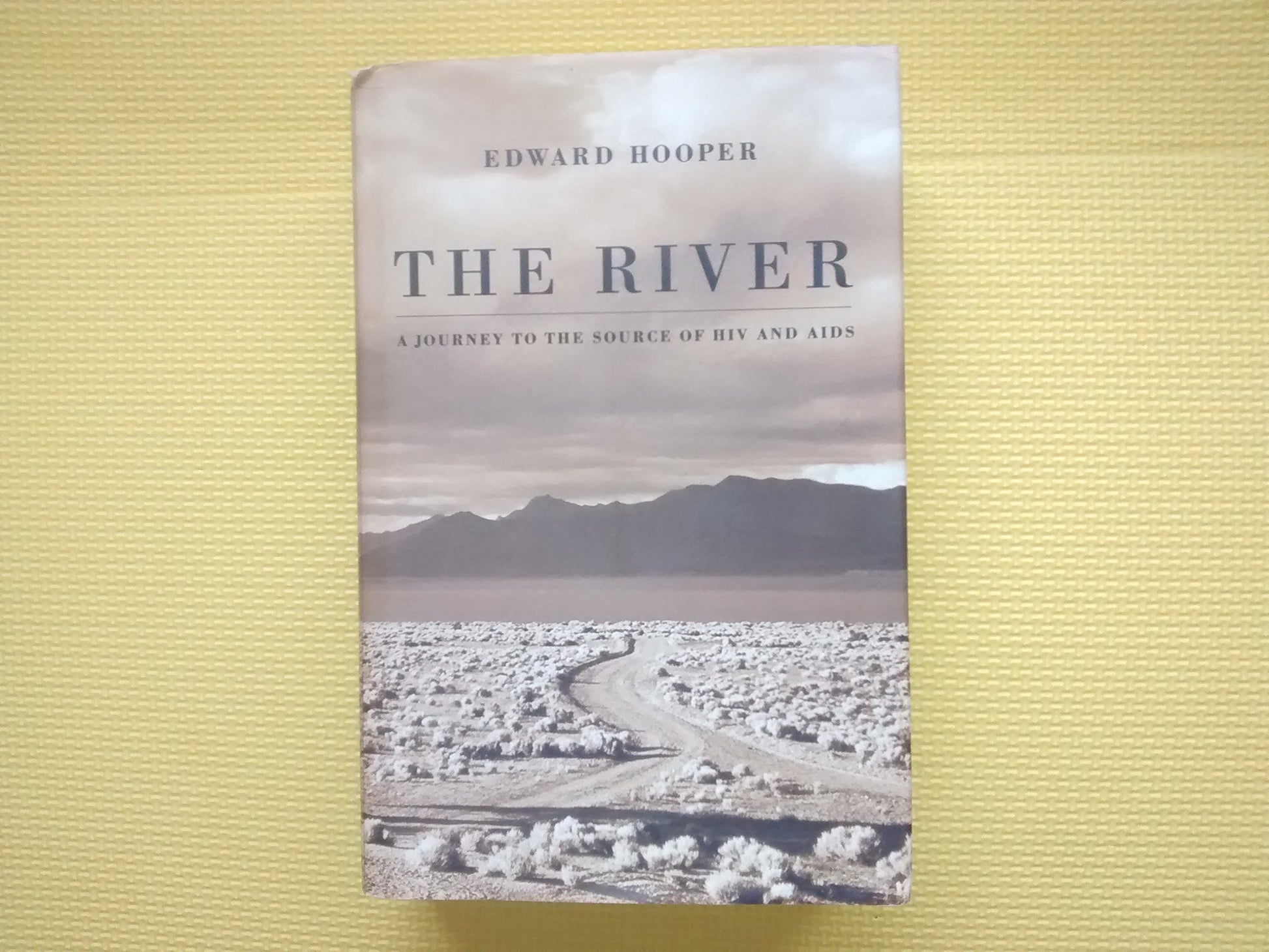 River: A Journey to the Source of HIV and AIDS book cover