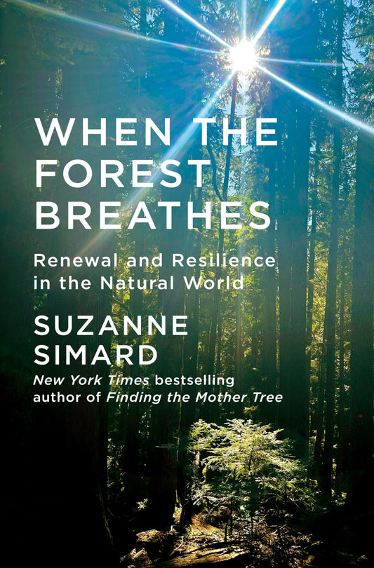 When the Forest Breathes book cover