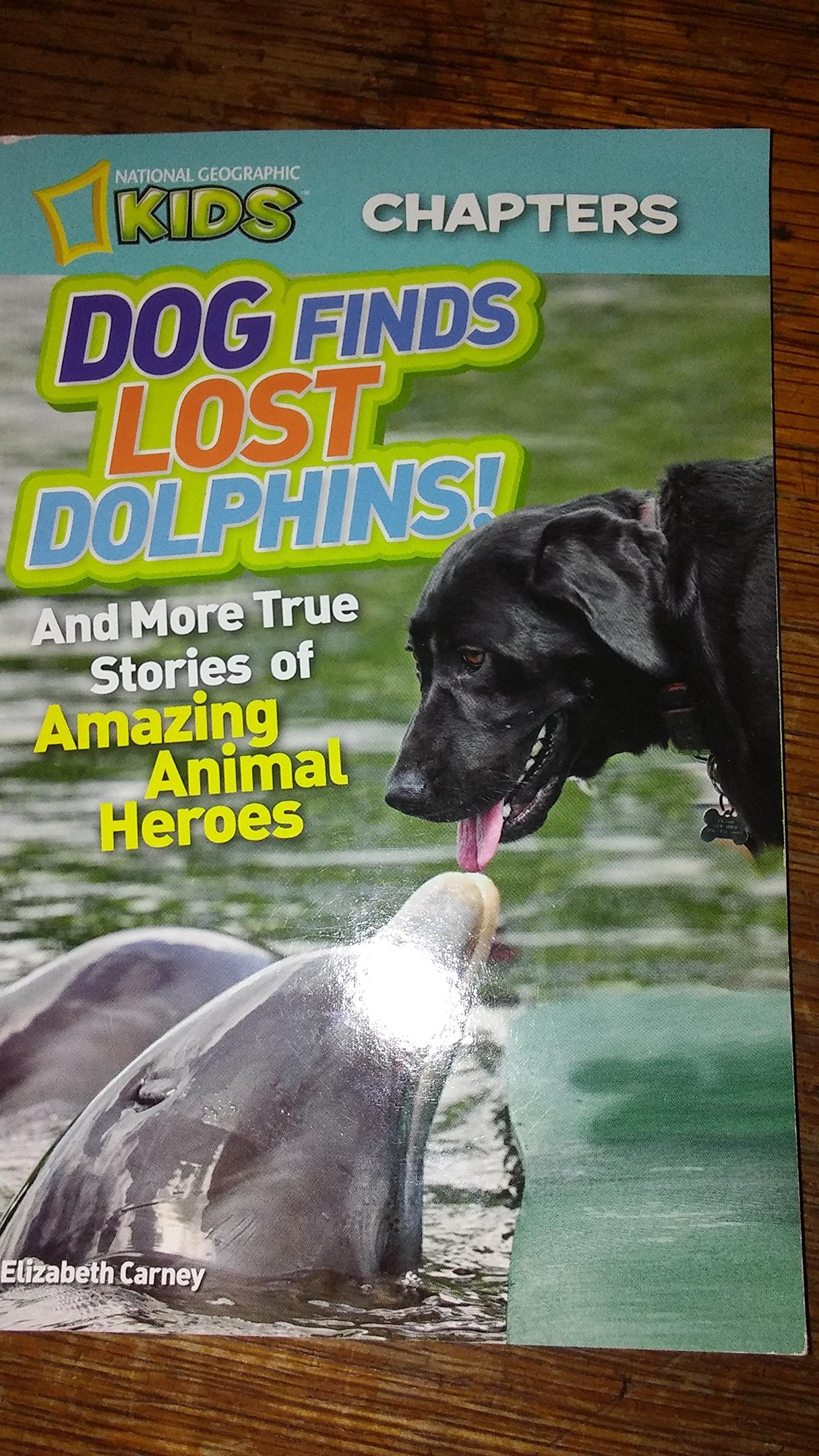 DOG FINDS LOST DOLPHIN!! AND MORE TRUE STORIES OF AMAZING ANIMAL HEROS. NATIONAL GEOGRAPIC KIDS.