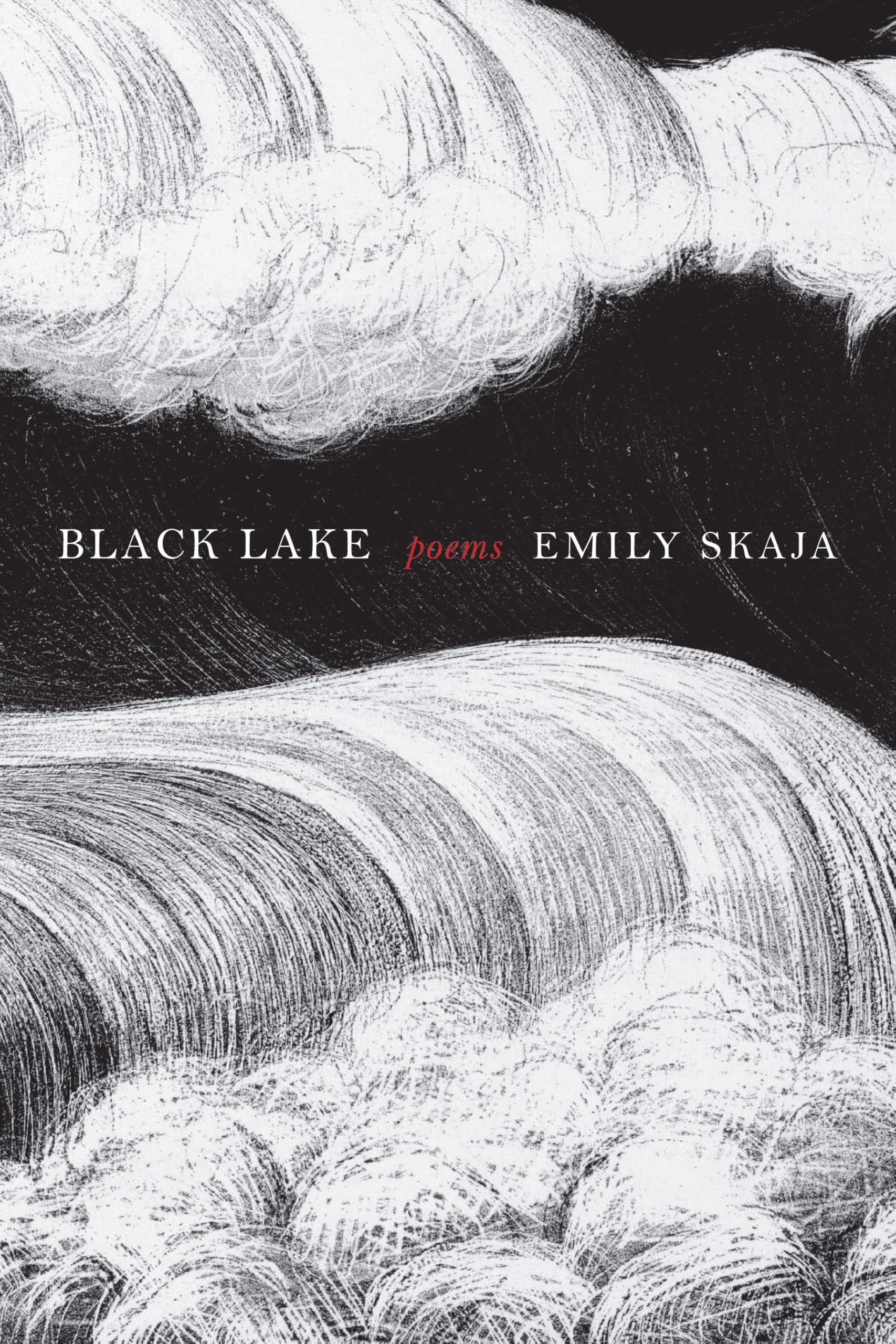 Black Lake book cover