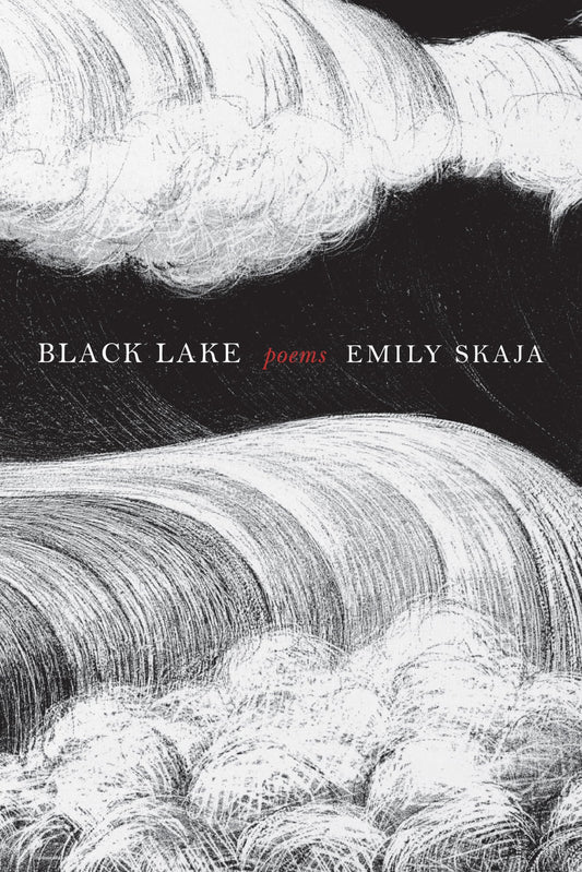 Black Lake book cover