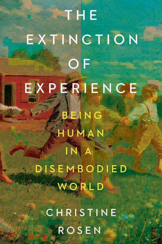 Extinction of Experience: Being Human in a Disembodied World book cover