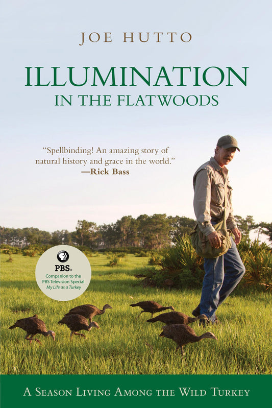Illumination in the Flatwoods: A Season with the Wild Turkey book cover