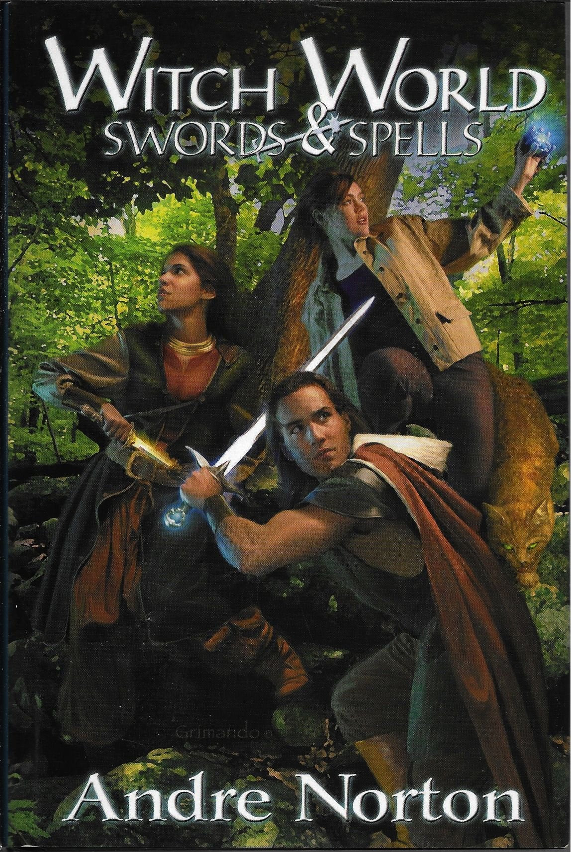 Swords & Spells (Witch World) book cover
