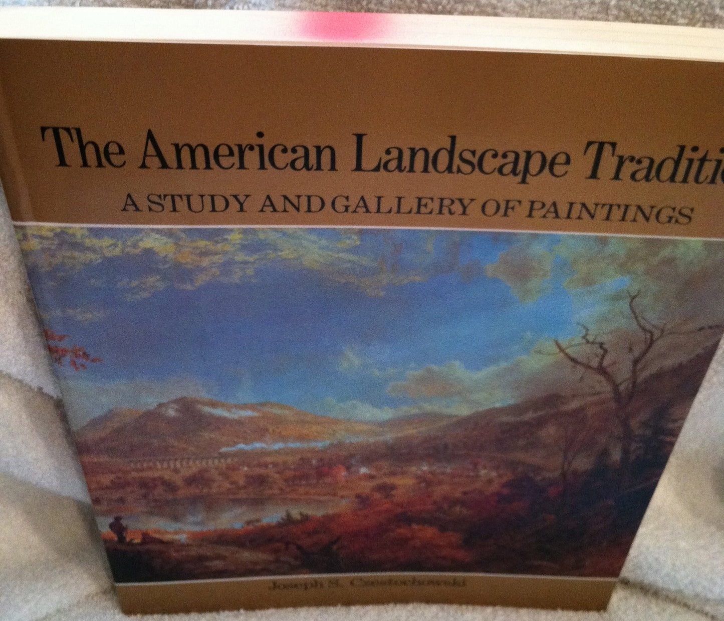American Landscape Tradition book cover