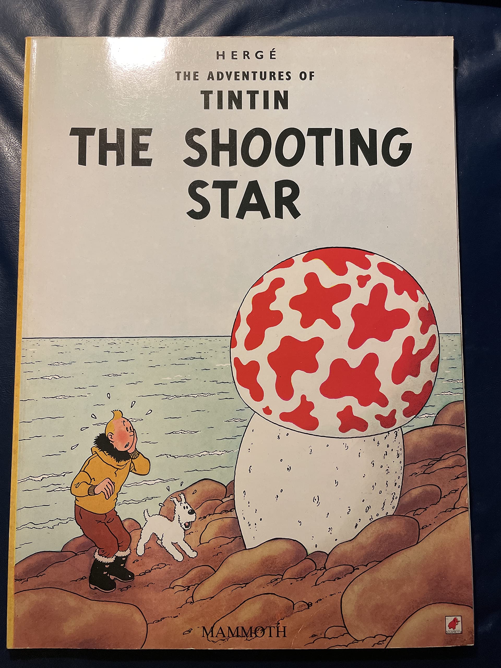 The Shooting Star (METHUEN COPRO) book cover
