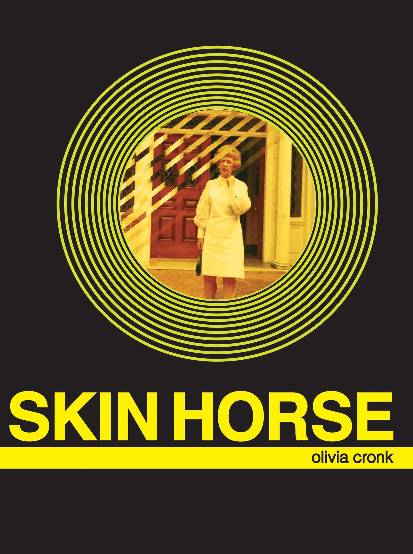Skin Horse book cover