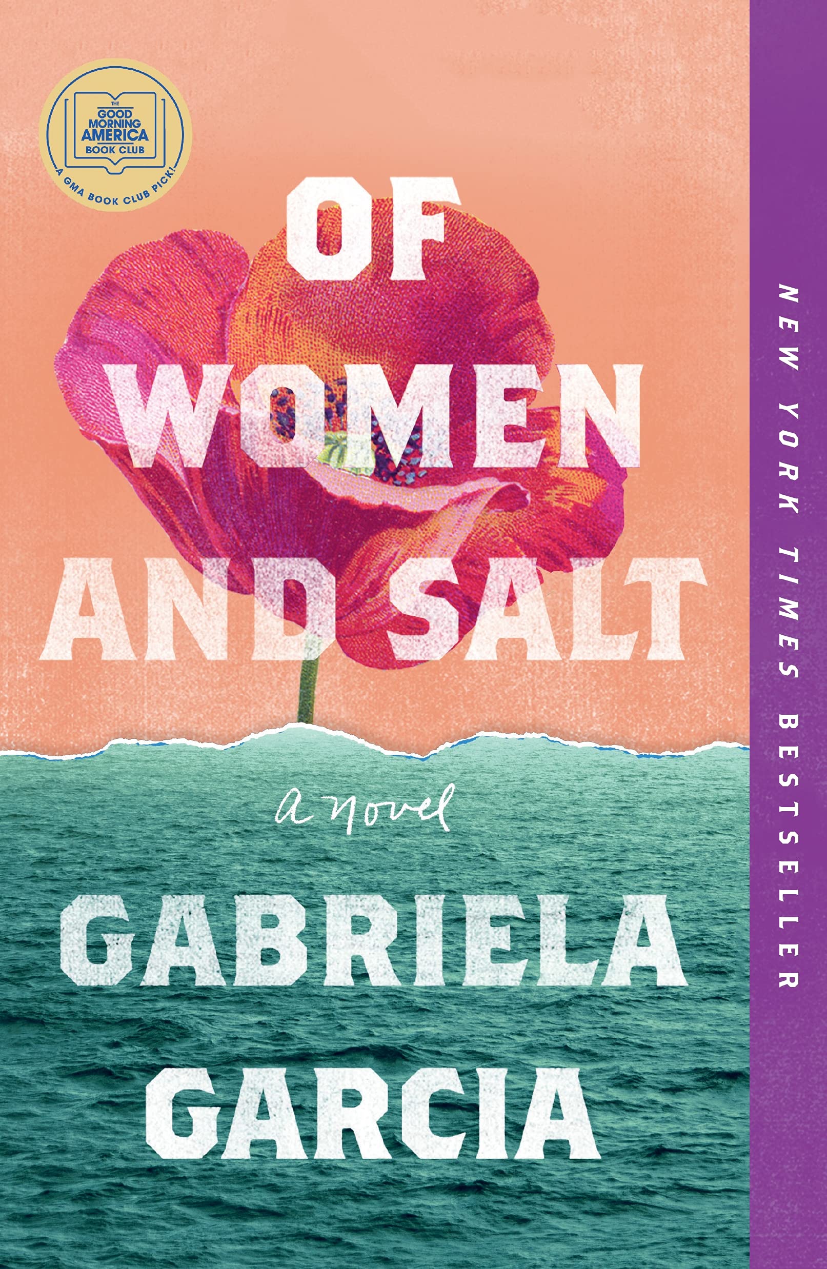 Of Women and Salt book cover