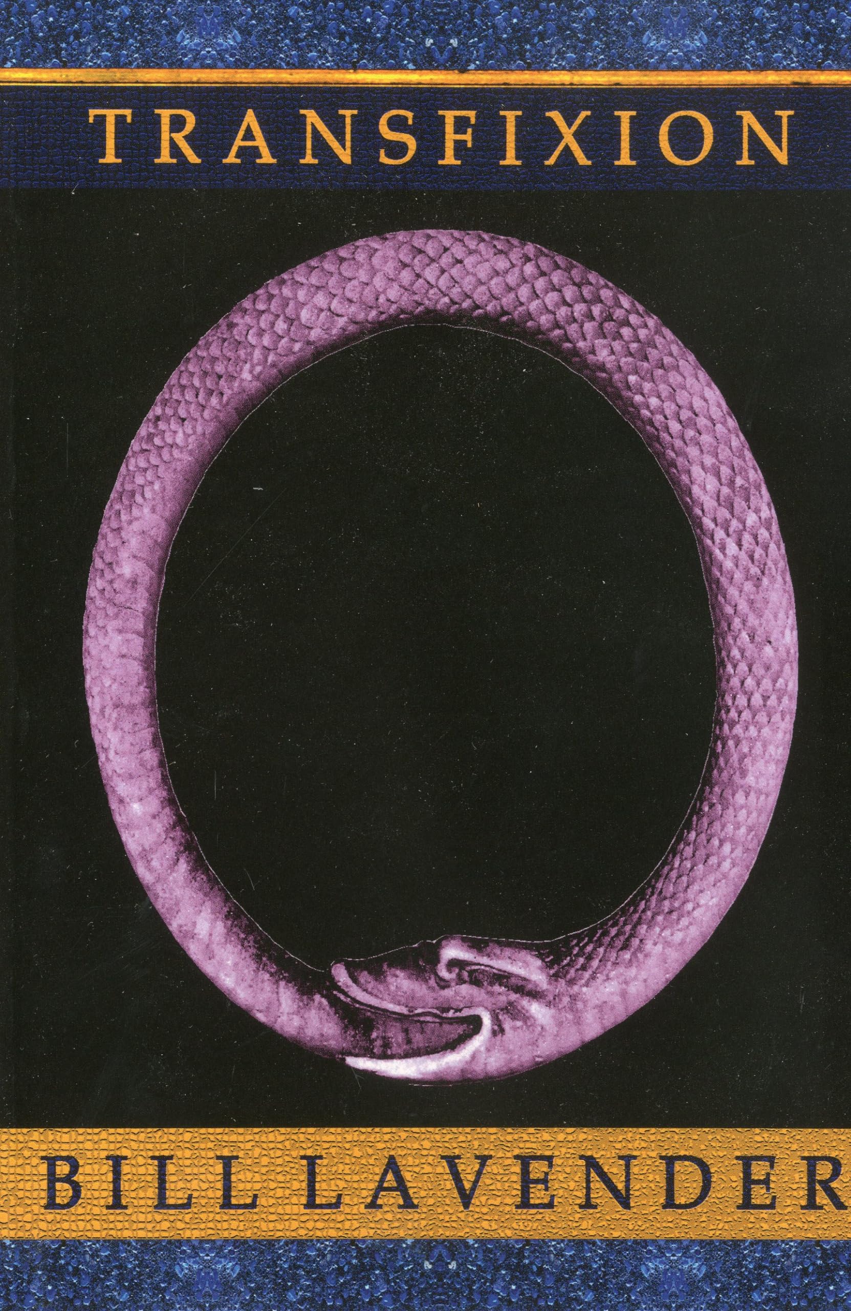 Transfixion book cover