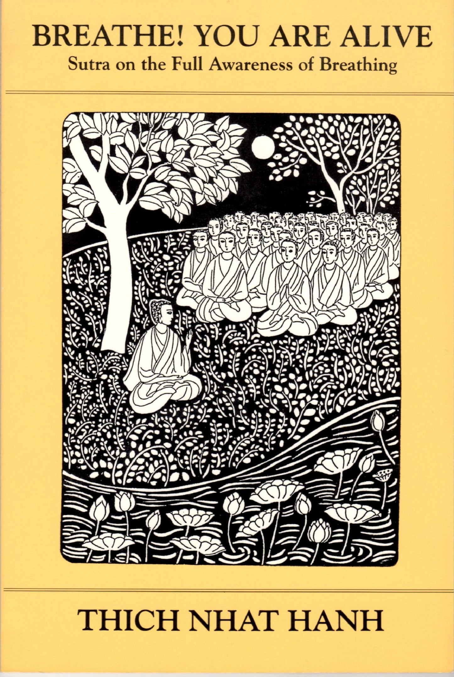 Breathe! You Are Alive book cover