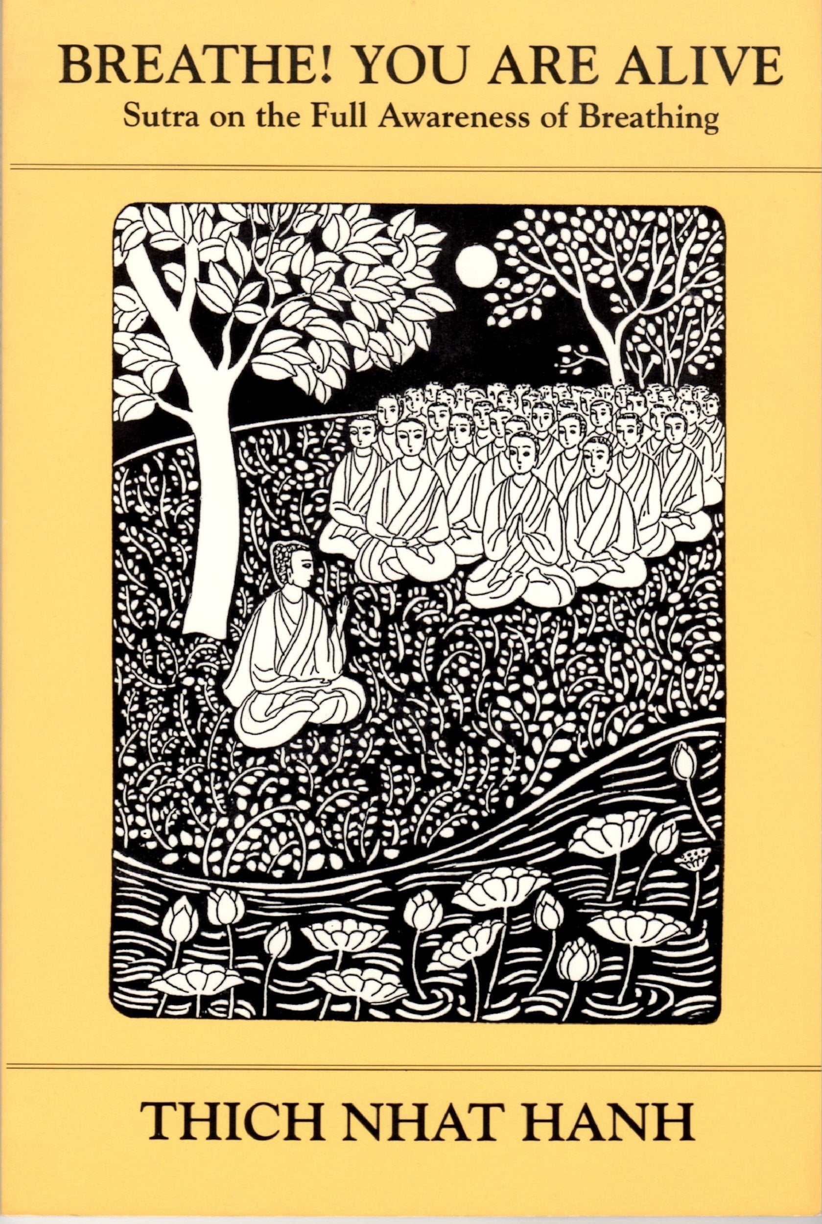Breathe! You Are Alive book cover