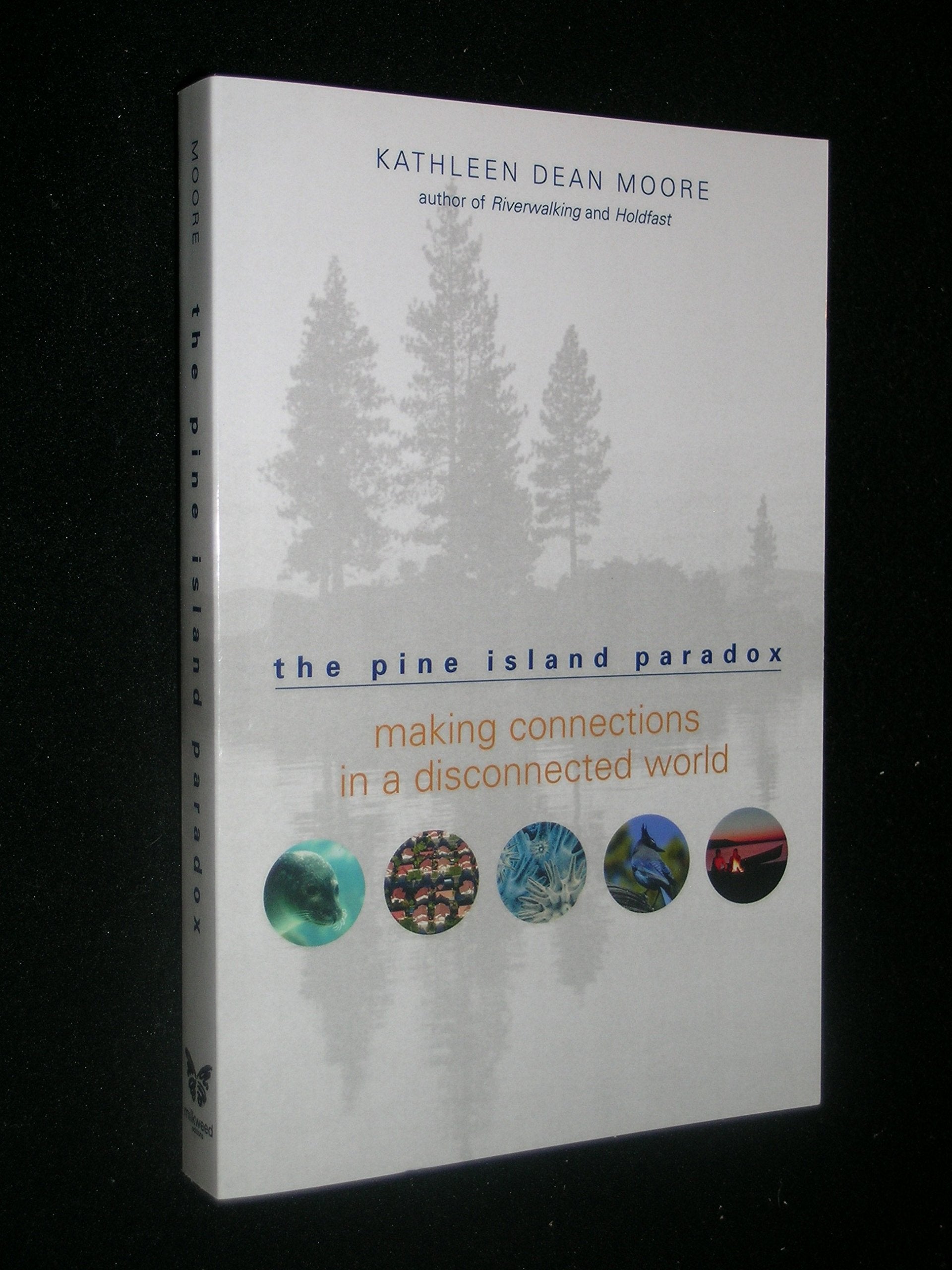 Pine Island Paradox: Making Connections in a Disconnected World book cover