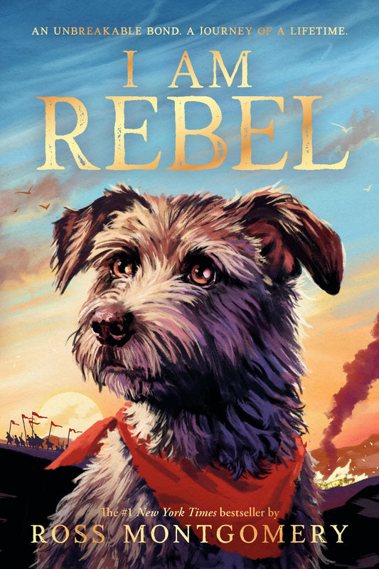 I Am Rebel book cover