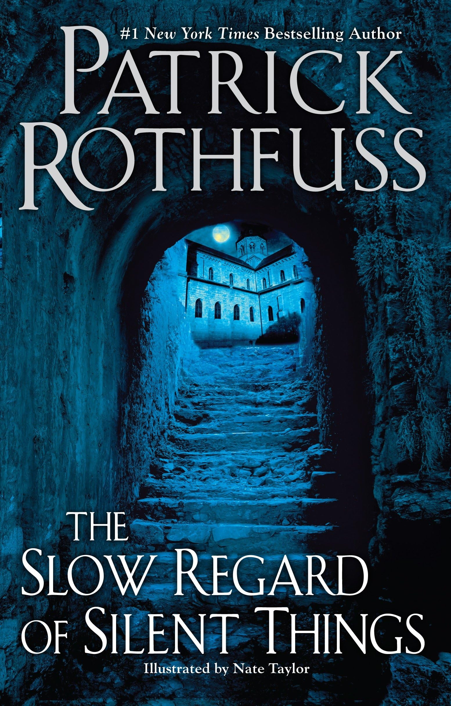 Slow Regard of Silent Things book cover