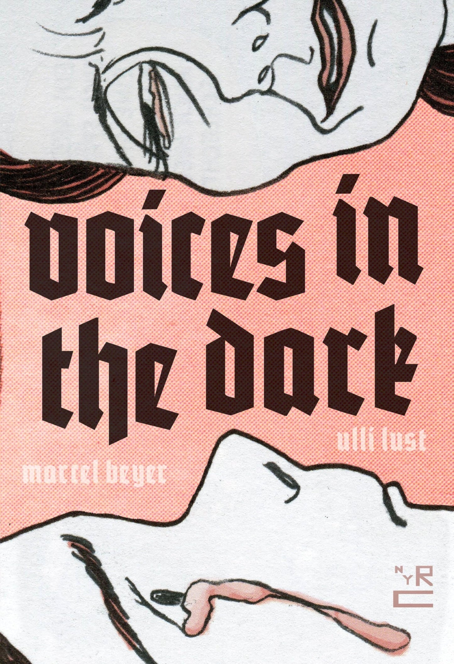 Voices in the Dark book cover