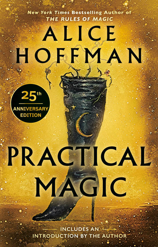 Practical Magic book cover