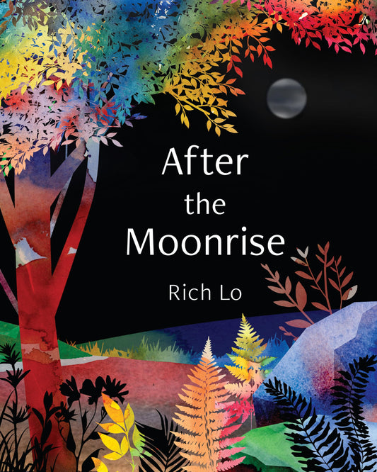 After the Moonrise book cover