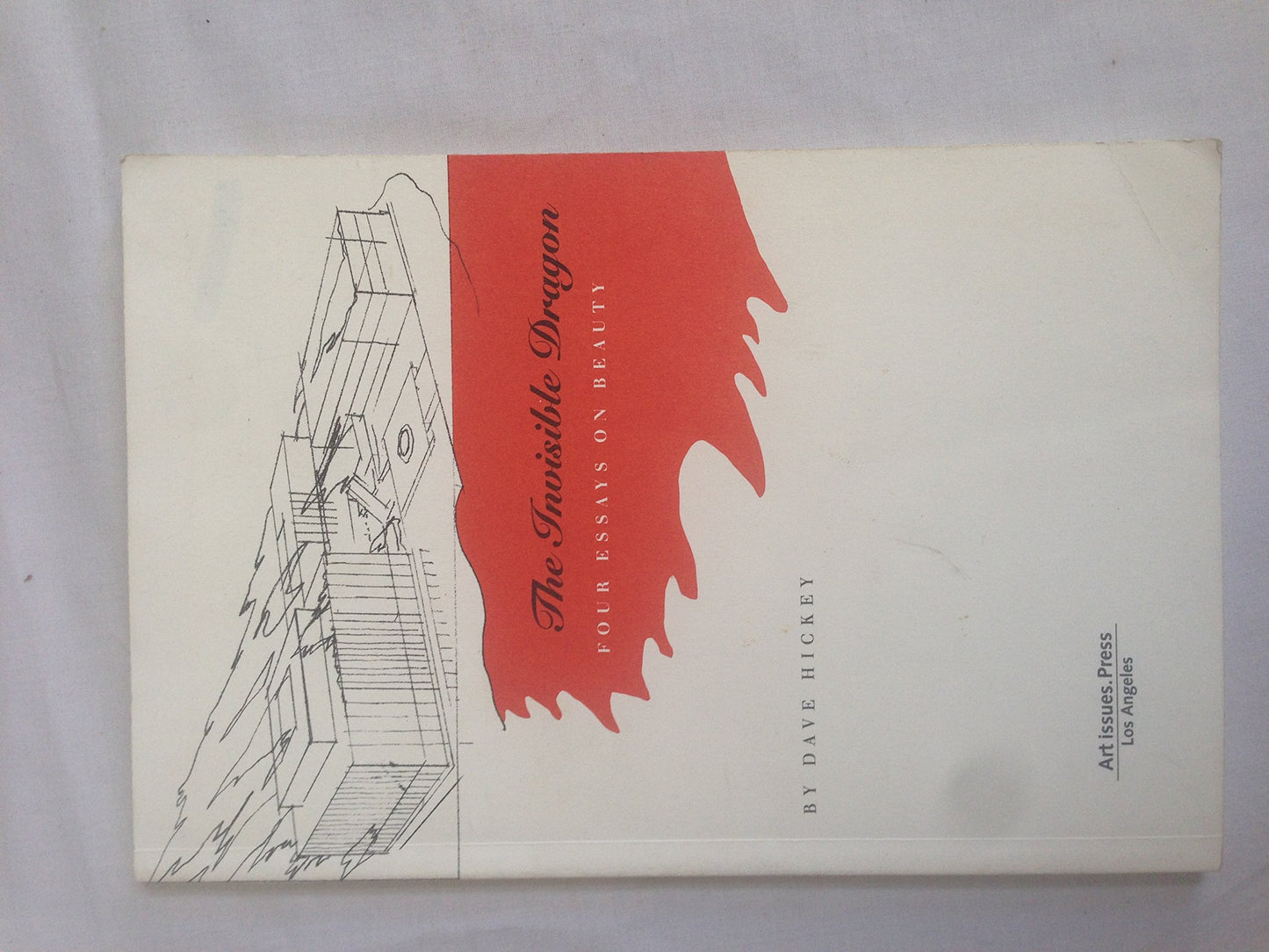 Invisible Dragon: Essays on Beauty book cover