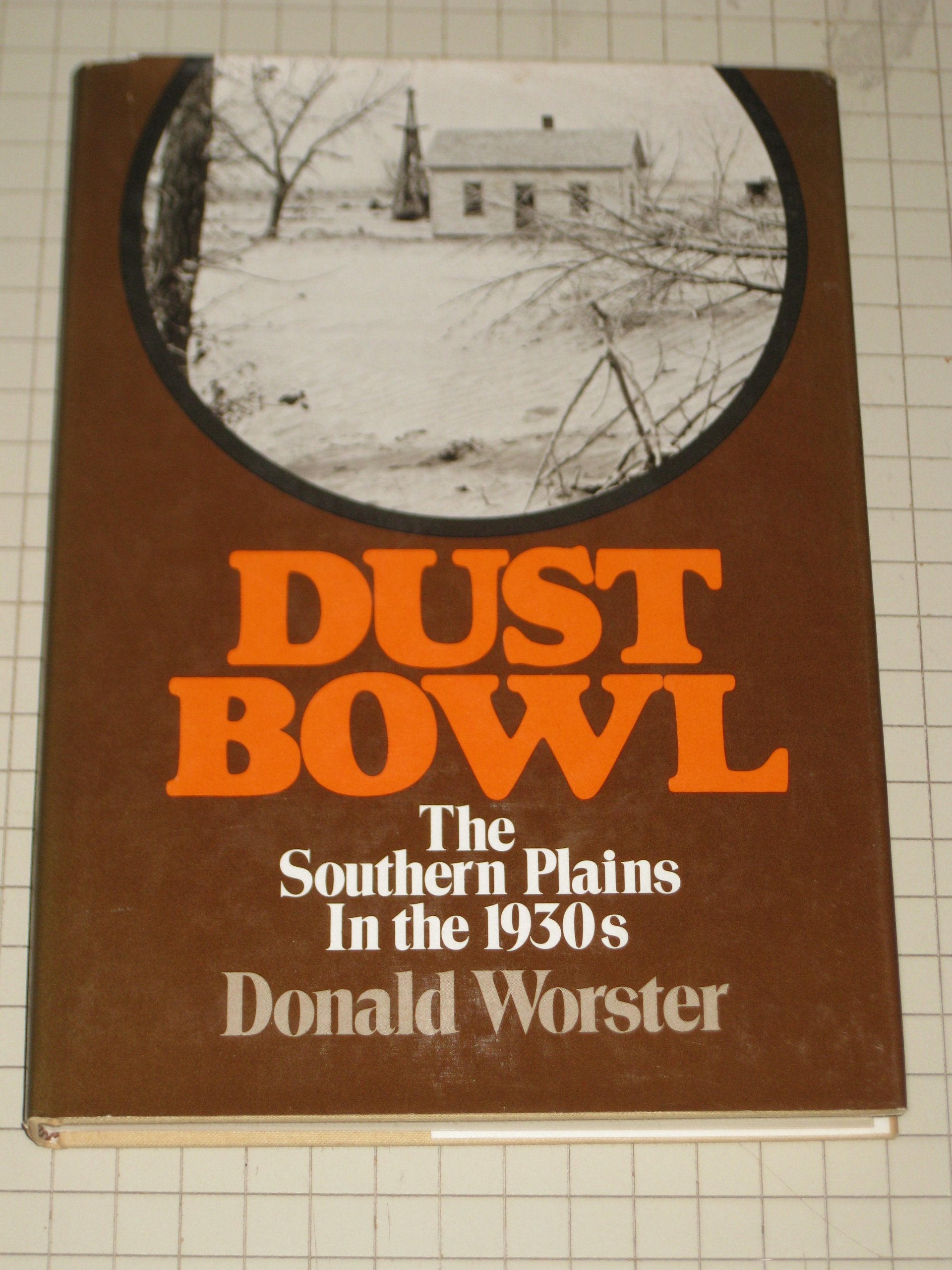 Dust Bowl book cover