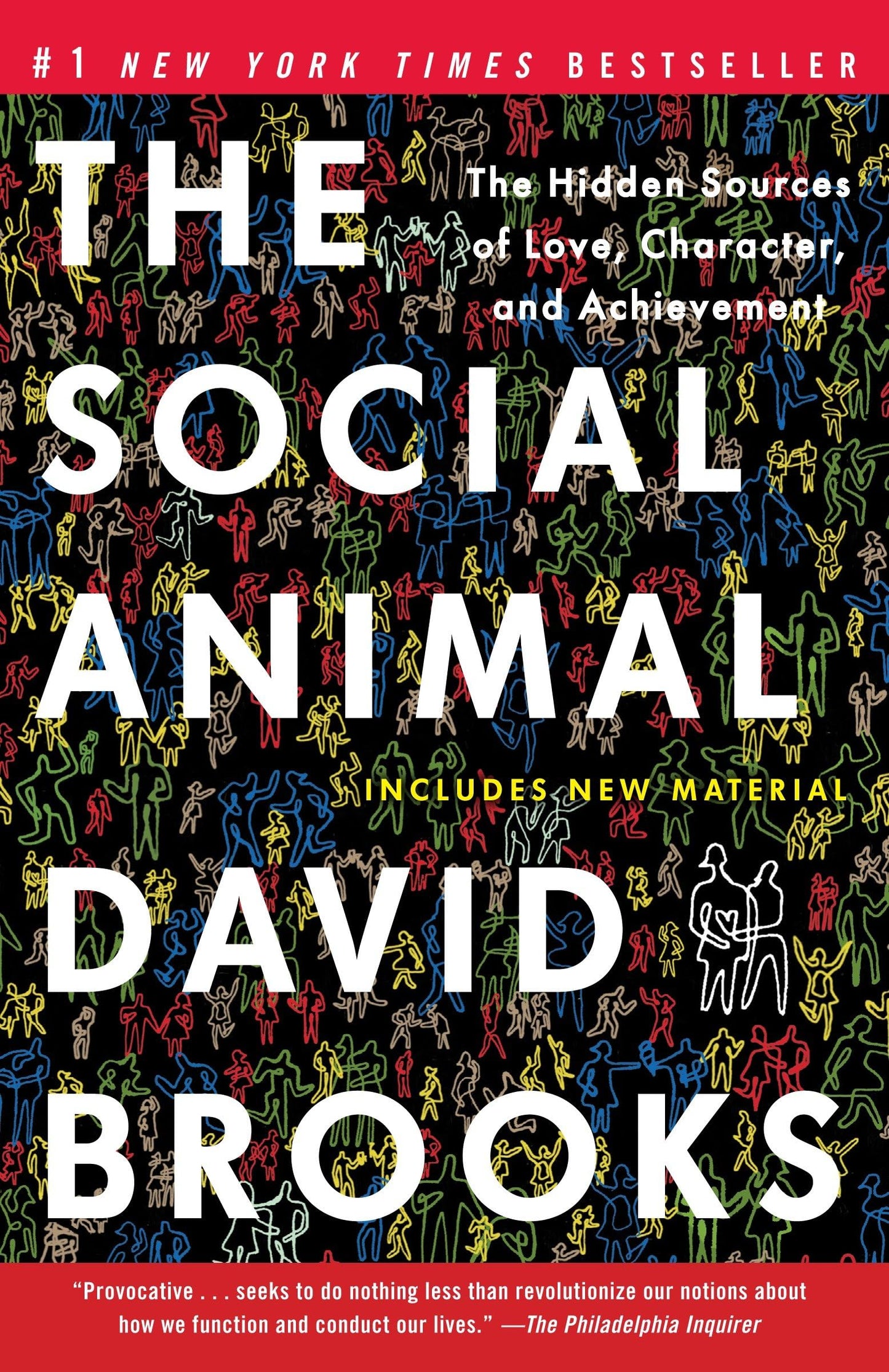 Social Animal: The Hidden Sources of Love, Character, and Achievement book cover