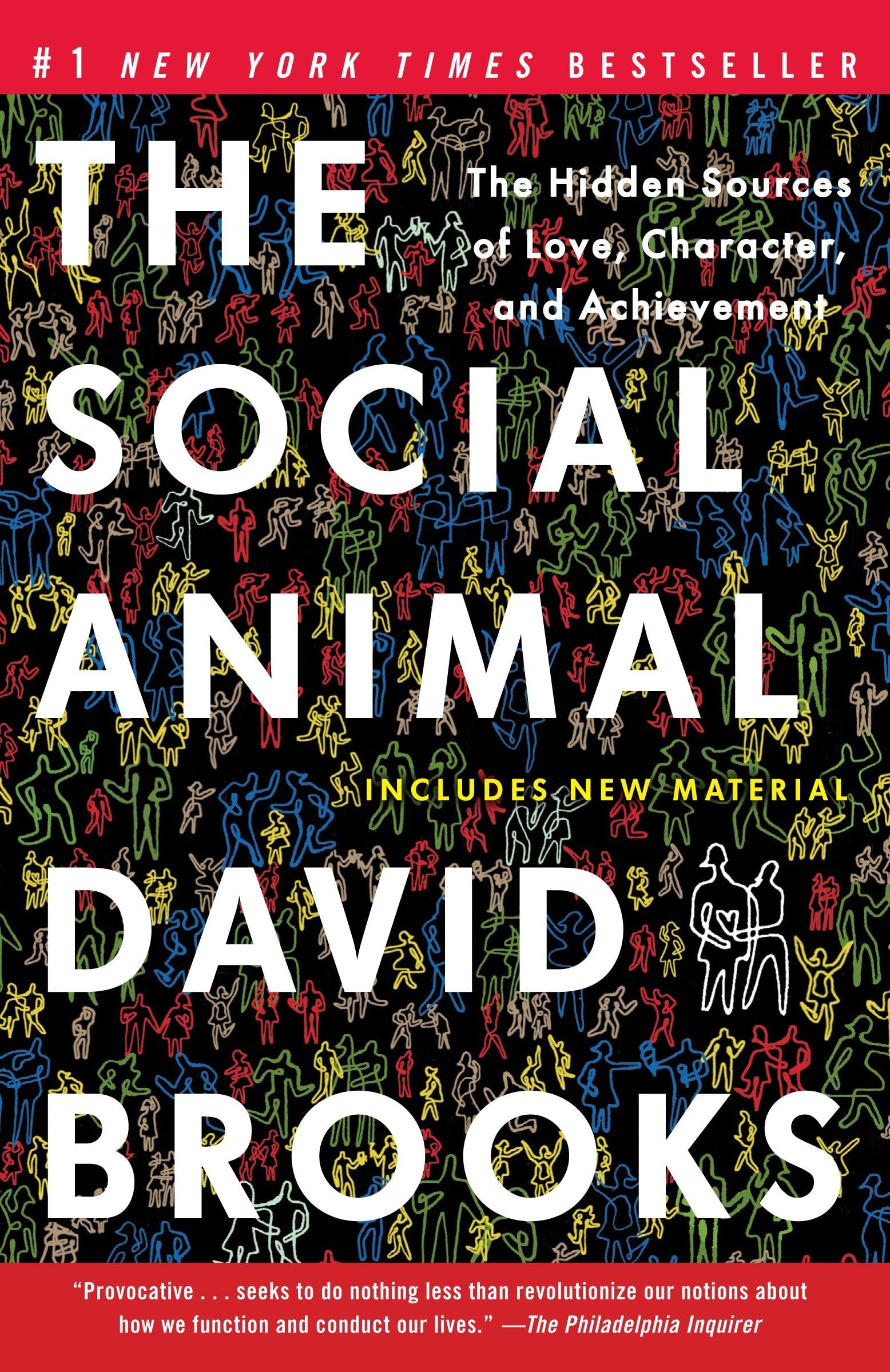 Social Animal: The Hidden Sources of Love, Character, and Achievement book cover